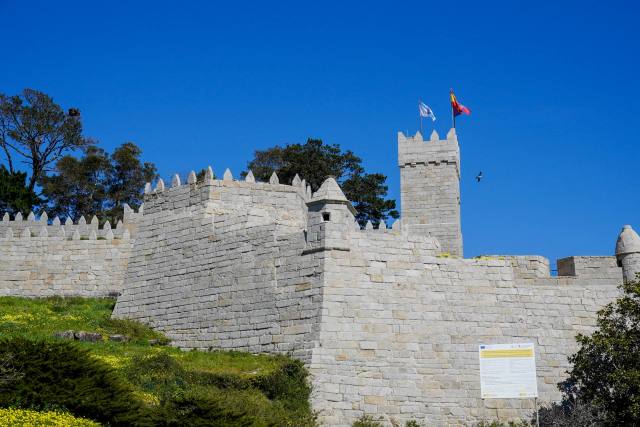 Castillo de Monte Real
