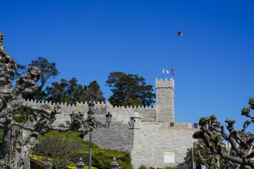 Fotografía del Castillo — Baiona
