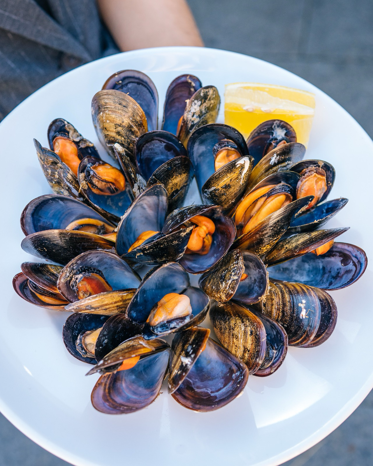 Marisco fresco de Baiona, Galicia — percebes y mariscos de las Rías Baixas