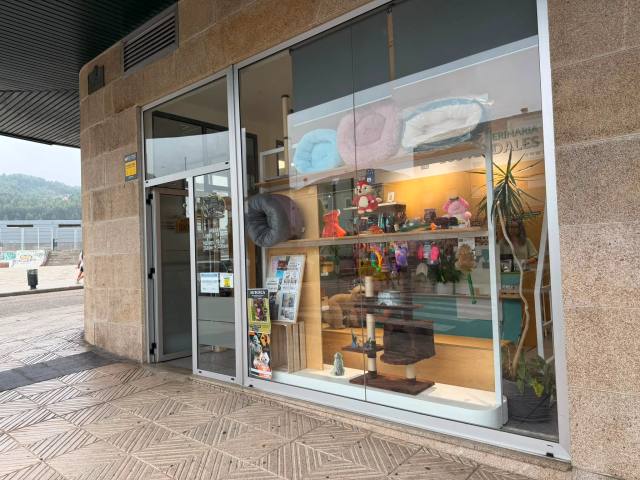 Veterinarios en Baiona: clínicas, horarios y qué hacer ante una urgencia